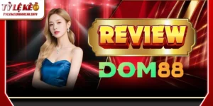 dom88 1 1